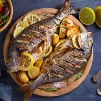 fish